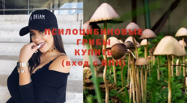 первитин Осинники