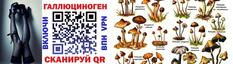 Псилоцибиновые грибы мухоморы  Купить закладки  Звенигород 